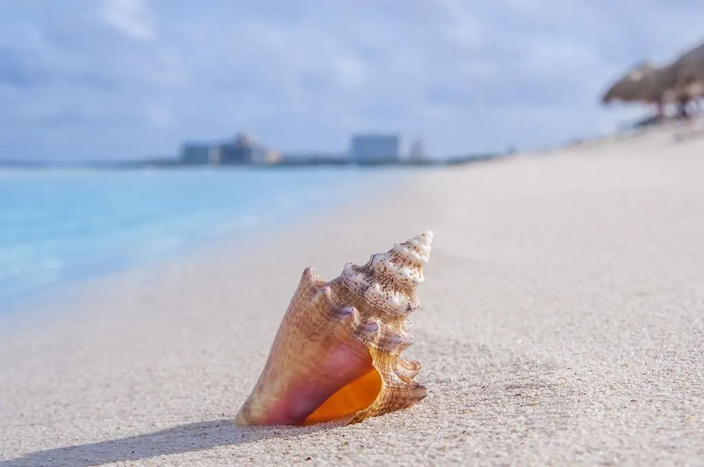 Family-Flexication-Friendly Villa, Few Steps From Eagle Beach Palm Beach Aruba