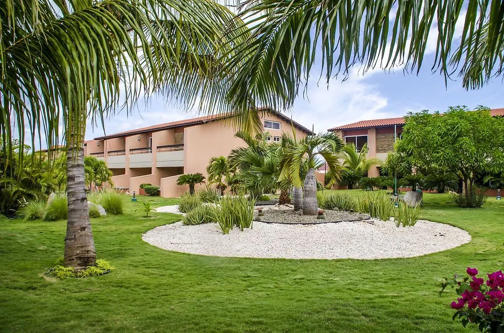 Villa Family-Flexication-Friendly Villa, Few Steps From Eagle Beach Palm Beach